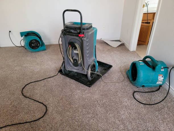 Water damage restoration mold remediation in Sonora, CA