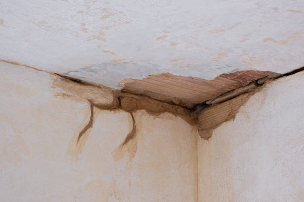Best Water damage restoration mold remediation  in Sonora, CA