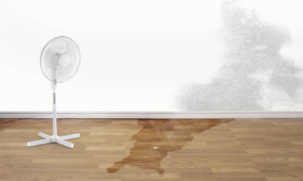 Best Water damage restoration company  in Sonora, CA