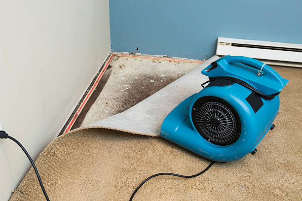 Best Mold removal after water damage  in Sonora, CA